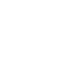 logo white
